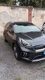 Kia Niro 1.6 ibrida 2021