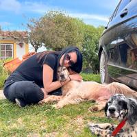 Dositter / Petsitter a Villafranca di Verona