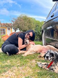 Dositter / Petsitter a Villafranca di Verona