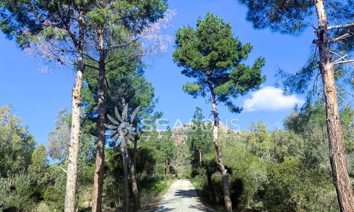 Vendita Proprietà con destinazione mista - Commer