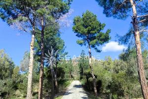 Vendita Proprietà con destinazione mista - Commer