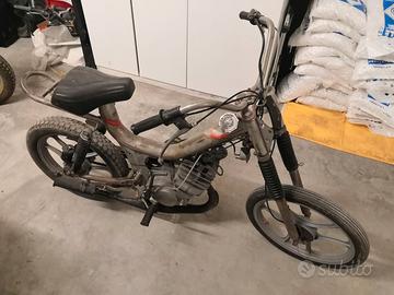 Oxford peripoli - tubone