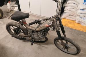 Oxford peripoli - tubone