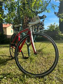 Bici da corsa Alan