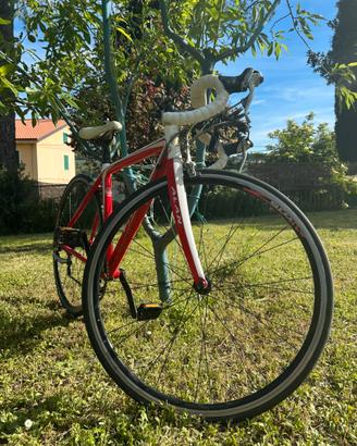 Bici da corsa Alan
