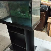 acquario con tavolino 