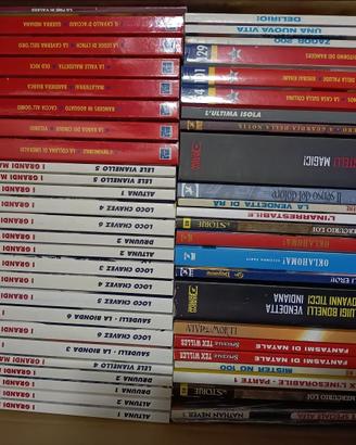 Never Dragonero Storie Mystere Zagor e altro