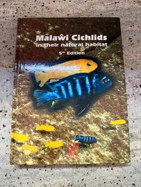 Malawi Cichlids in their Natural Habitat