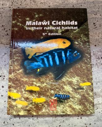 Malawi Cichlids in their Natural Habitat