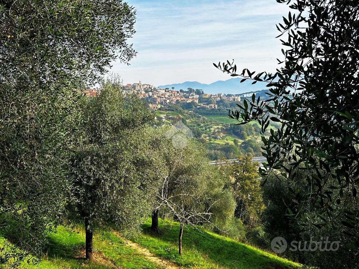TER. AGRICOLO A PONZANO ROMANO - Vista 4