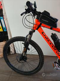 Bicicletta Mountain Bike