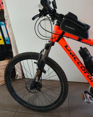 Bicicletta Mountain Bike
