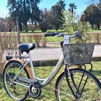 Bicicletta  da donna