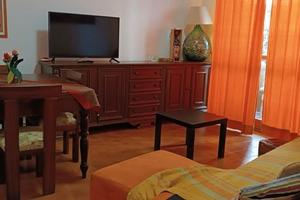 Stanza in appartamento condiviso