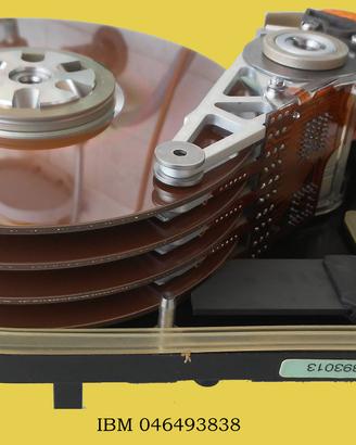 Hard Disk vintage MFM 5.25 inch per collezione