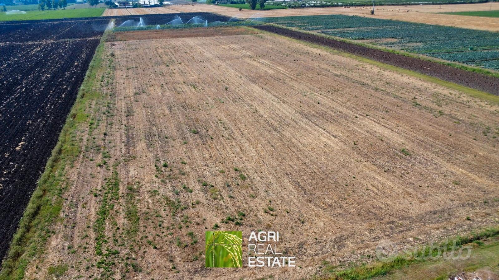 Terreno agricolo di 3 ettari pianeggiante - Vista 3