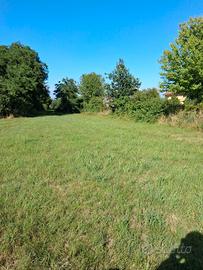 Giardino/ Orto Agricolo a Settimo Torinese