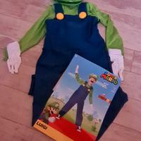 vestito super luigi bros