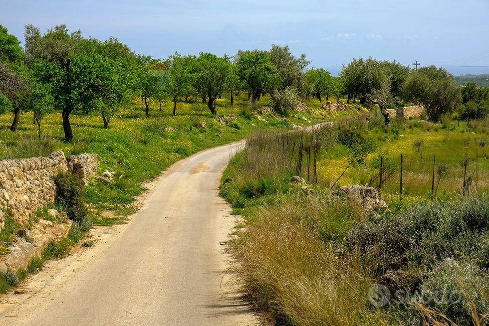 Terreno - Noto - Vista 5