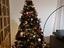 Immagine 4