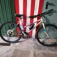 BICI MOUNTAIN BIKE