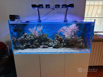 Acquario Marino completo di Mobile e SUMP