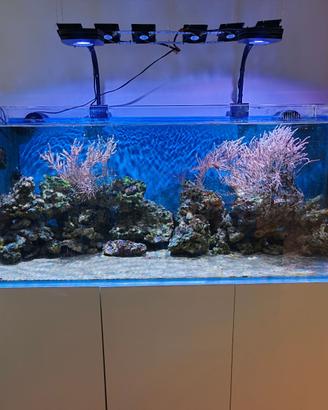 Acquario Marino completo di Mobile e SUMP