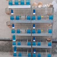 Gabbie da allevamento / cova