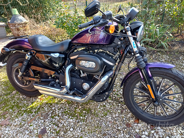 Harley davidson iron