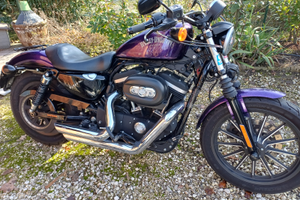 Harley davidson iron