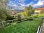 Immagine 29
