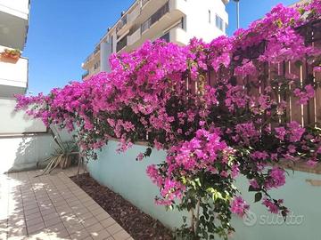 Bilocale con giardino e terrazza esclusivi
