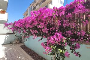 Bilocale con giardino e terrazza esclusivi