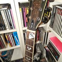 Washburn Limited Edition – Artwork David Linch