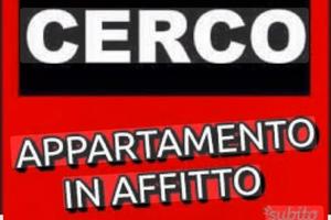 C.e.r.c.o afitto