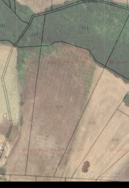 Si Cede proprietà terrena ( Grossi Alberto )