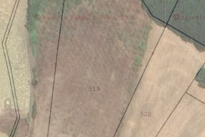 Si Cede proprietà terrena ( Grossi Alberto )