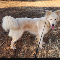 Vera 3anni vive in garage con 1figlio.COSENZA