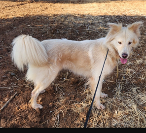 Vera 3anni vive in garage con 1figlio.COSENZA