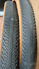 Coppia Pneumatici da gravel Pathfinder TLR 700x45
