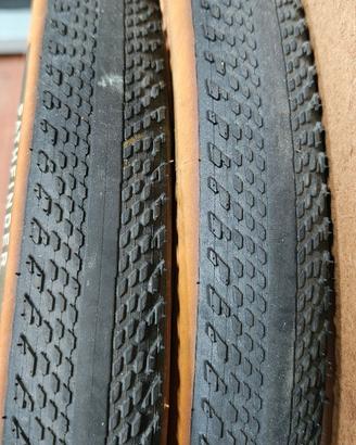 Coppia Pneumatici da gravel Pathfinder TLR 700x45