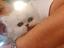 Immagine 6