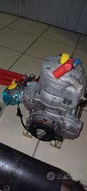 Motore Kart 125 TM oknj completo