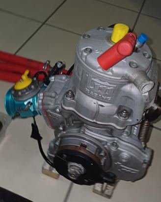 Motore Kart 125 TM oknj completo