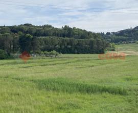 Terreno Agricolo Collesalvetti [Rif. 352/BVCG]