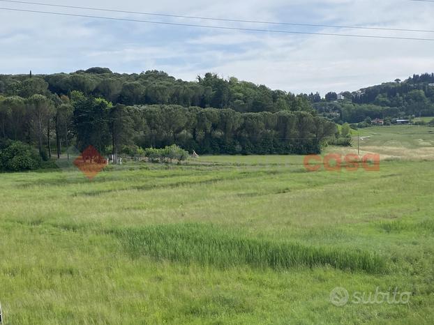 Terreno Agricolo Collesalvetti [Rif. 352/BVCG]