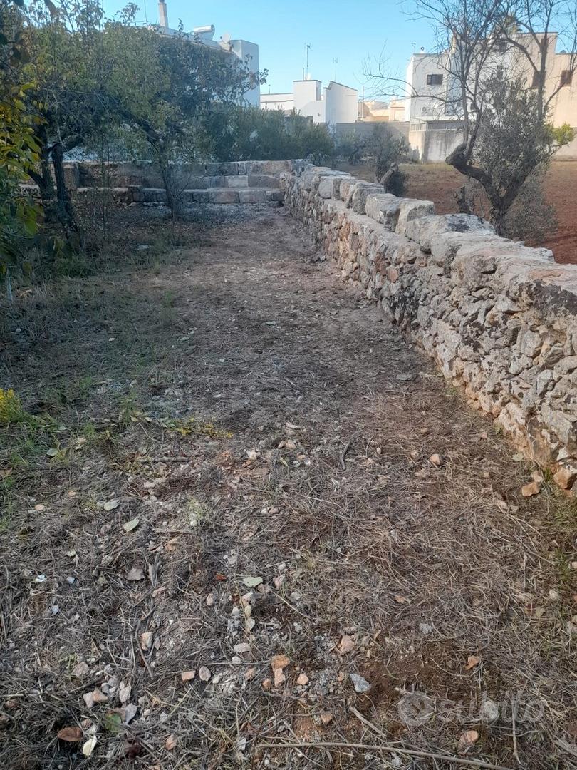 Terreno/giardino edificabile - Vista 6