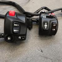 Blocchetti luce Triumph Tiger