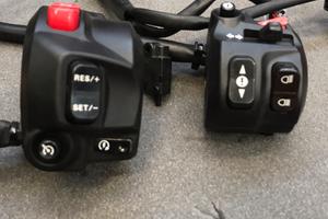 Blocchetti luce Triumph Tiger