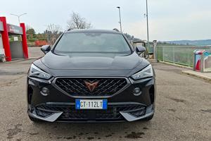 Cupra Formentor 2.0 TDI 4Drive 150 CV 